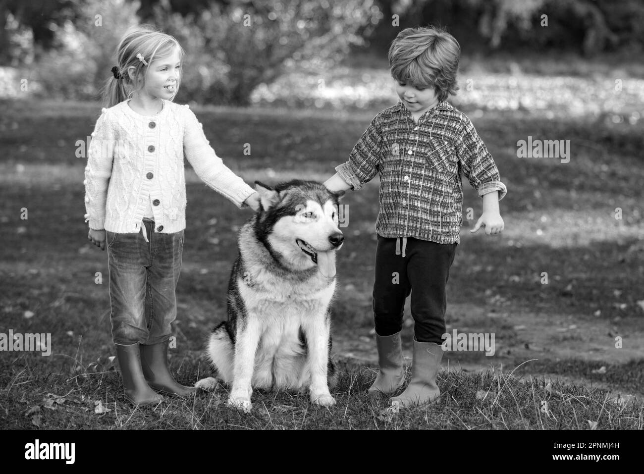 Glückliche kleine Kinder, die Spaß mit Hund Haustier auf dem Feld. Kind 5 Jahre alt. Unbeschwerte Kindheit. Kinder verbringen Zeit mit einem Hund auf dem Feld. Stockfoto