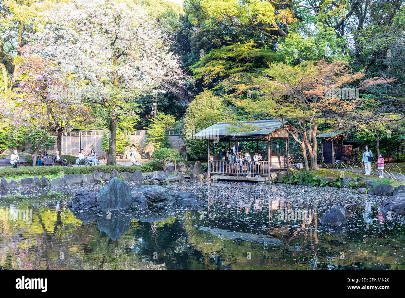 Tokio 2023. April, Shinchi Gärten der Heilige Teich Garten auf dem Gelände des Yasukini-Schreins in Chiyoda City, Tokio, Japan Stockfoto