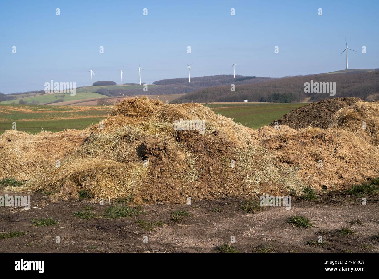 Organische Düngemittelhalden von Rindern auf landwirtschaftlichen Feldern im ländlichen Raum Stockfoto