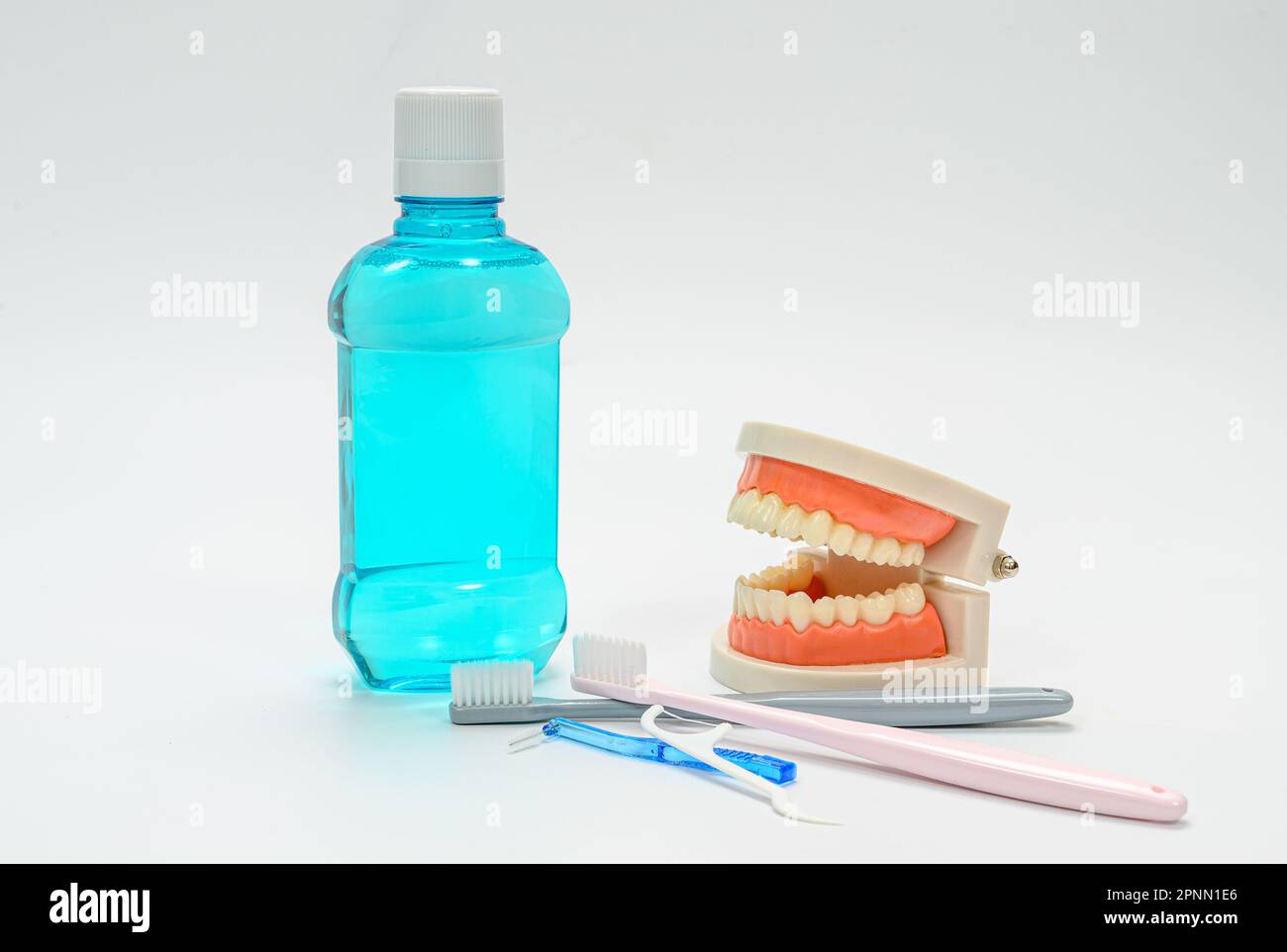 Zahnmodelle, Mundreiniger und Zahnbürsten auf weißem Hintergrund Stockfoto