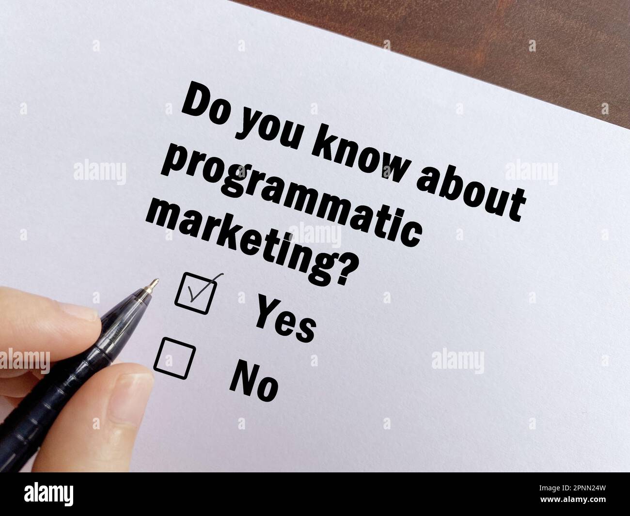 Eine Person beantwortet eine Frage zur Werbung. Er kennt sich mit programmatischem Marketing aus. Stockfoto