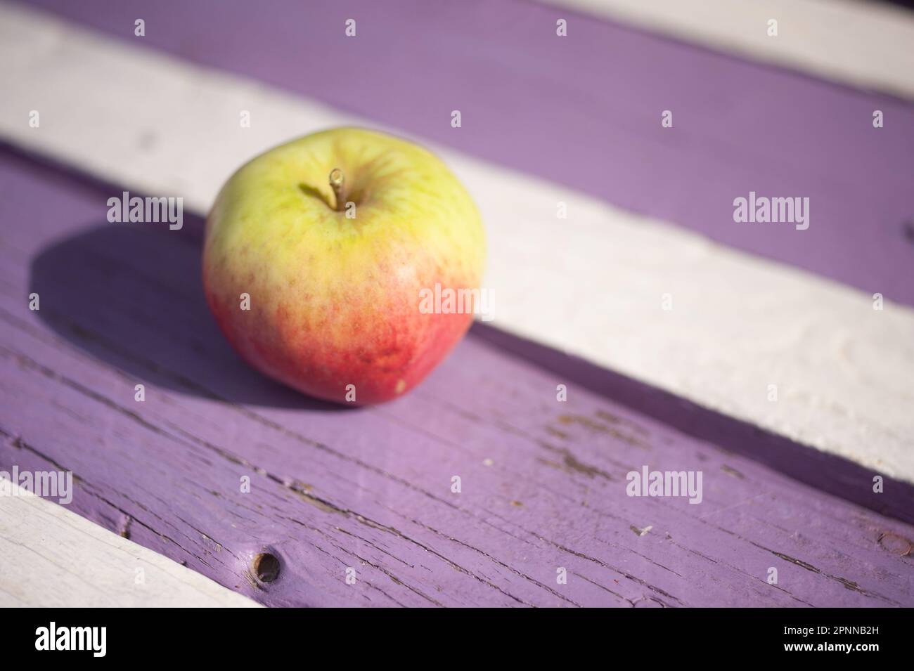 Apfel auf violett-weiß gestreifter Tischplatte, Bamburgh, Northumberland Stockfoto