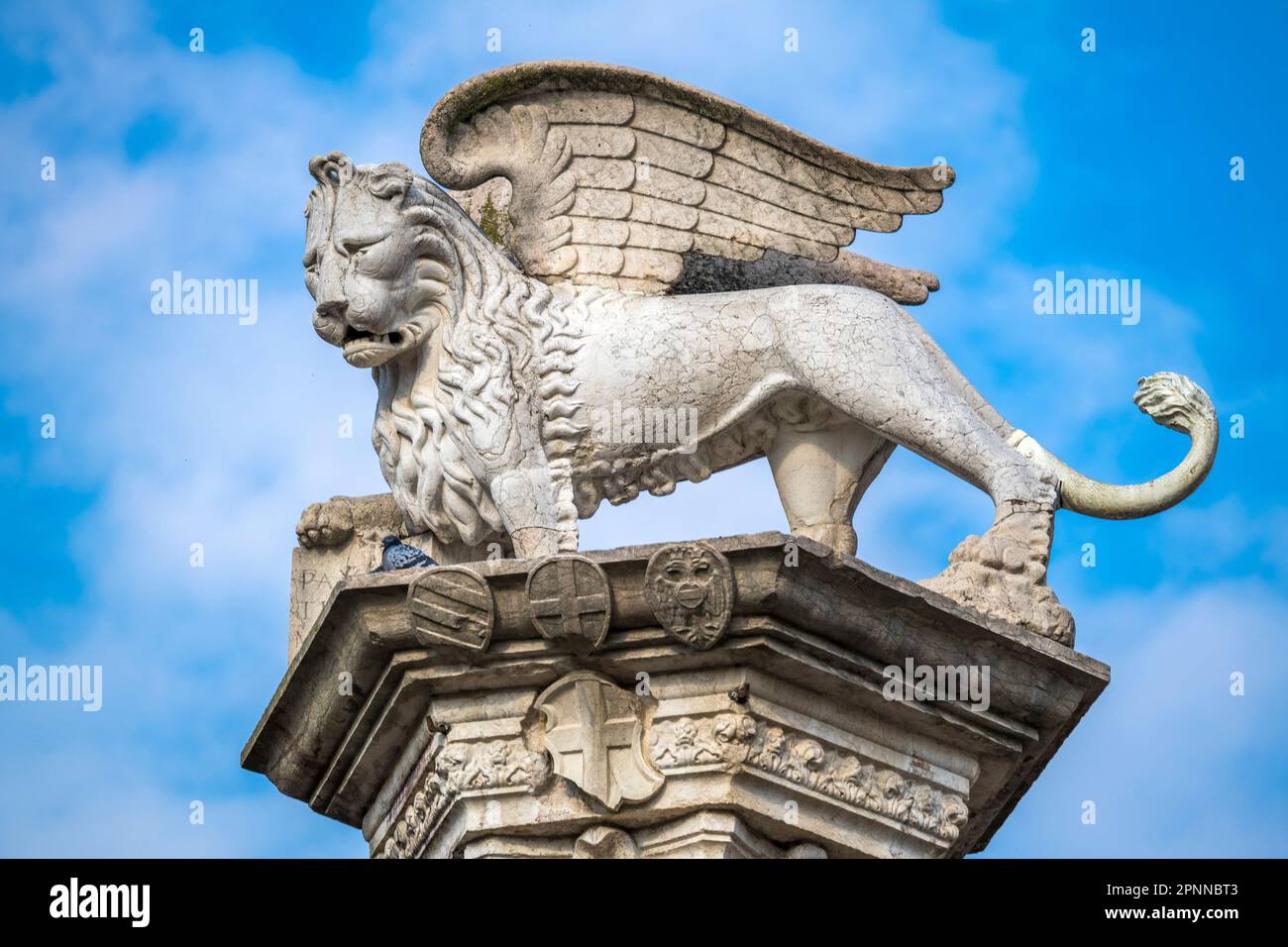 Markussäule, Piazza dei Signori, Vicenza, Veneto, Italien Stockfoto