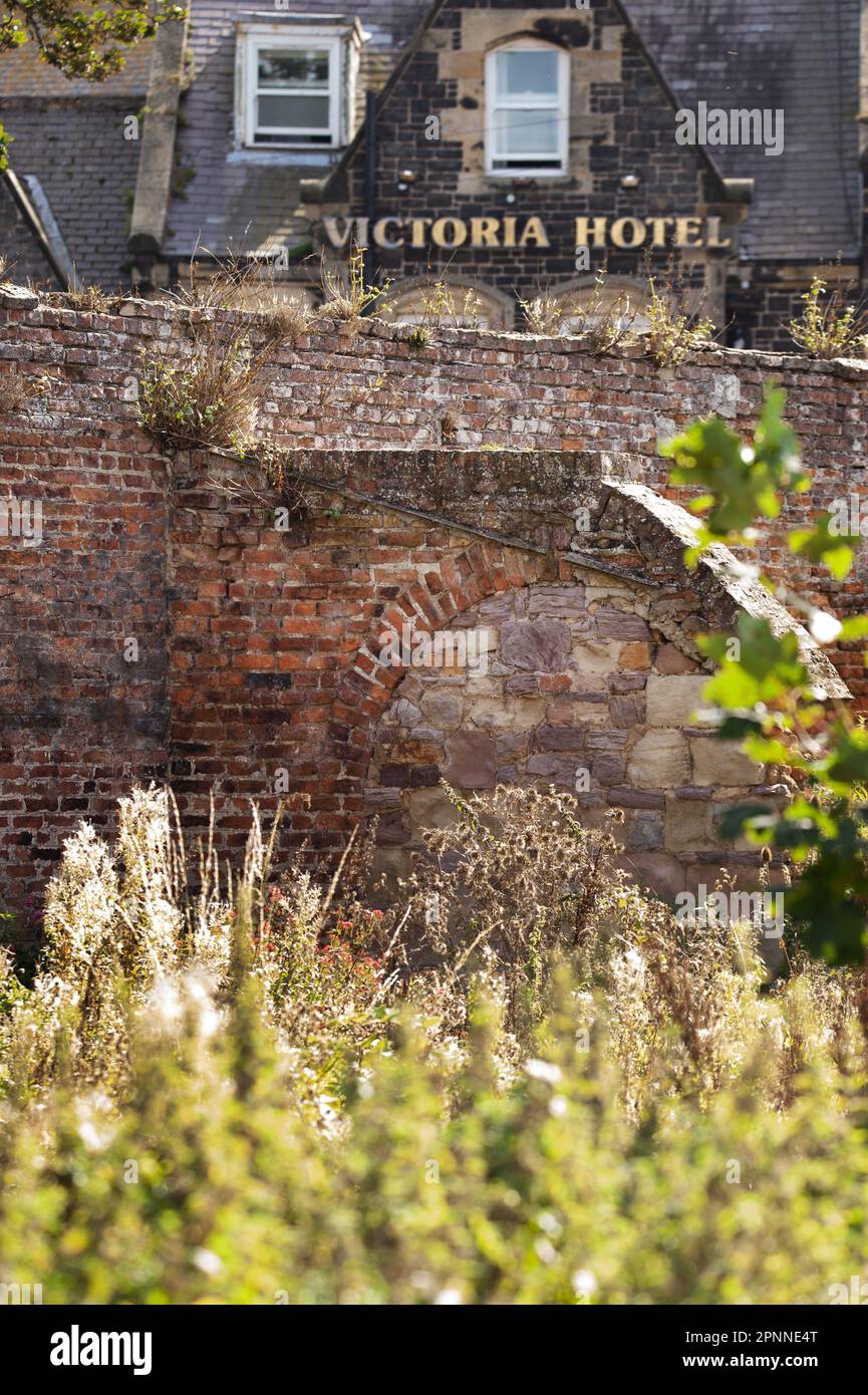 Details von alten ummauerten Gärten, Bamburgh, Northumberland Stockfoto