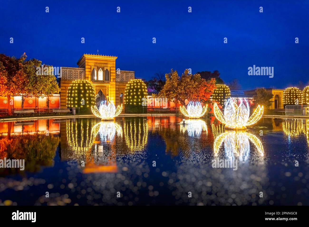 Christmas garden wilhelma Fotos und Bildmaterial in hoher Auflösung