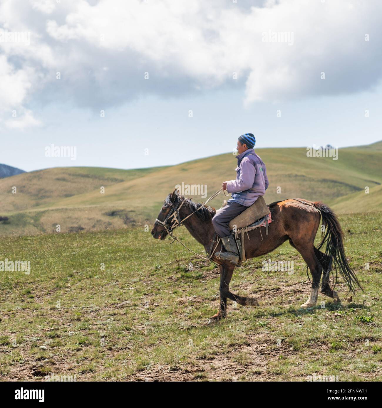 Kirgisistan - Mai 2022: Kirgisischer Mann auf dem Pferderücken in den Kirgisischen Bergen. In Kirgisistans Gebirgsregionen ist es üblich, Hirten zu beobachten Stockfoto