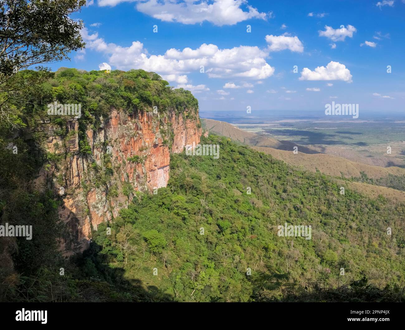 Panoramablick von den Klippen im Nachmittagslicht auf das Tal, Drohnenfotografie, Chapada dos Guimarães, Mato Grosso, Brasilien, Südamerika Stockfoto