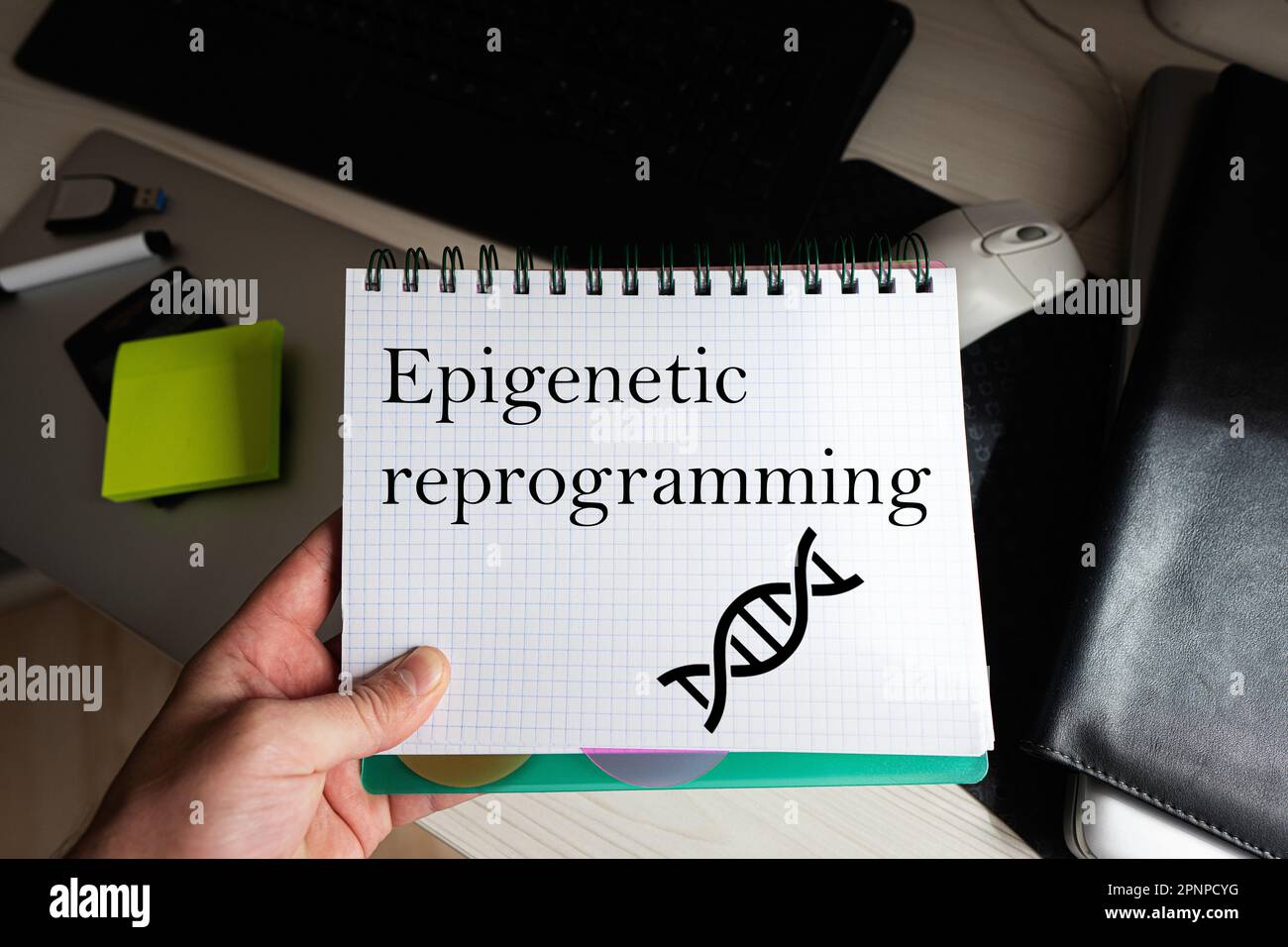 Epigenetisches Umprogrammieren von Worten auf Notebooks, die den Menschen gegen den Desktop halten. Stockfoto