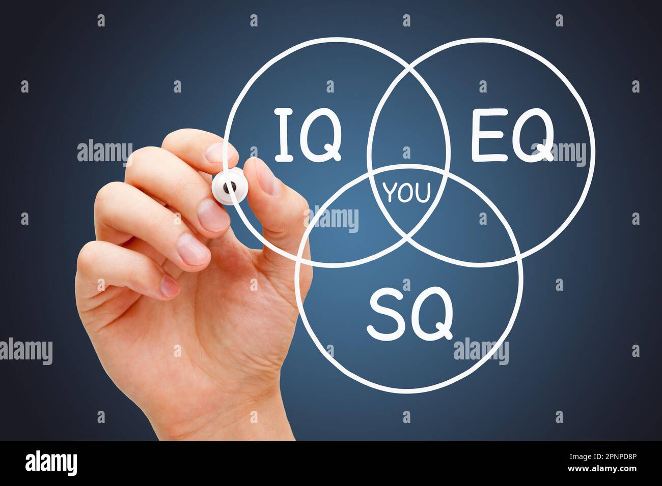 Handgezeichnetes Diagrammkonzept über IQ-Intelligenzquotient, EQ-emotionale Intelligenz und SQ-spiritueller oder sozialer Quotient. Stockfoto