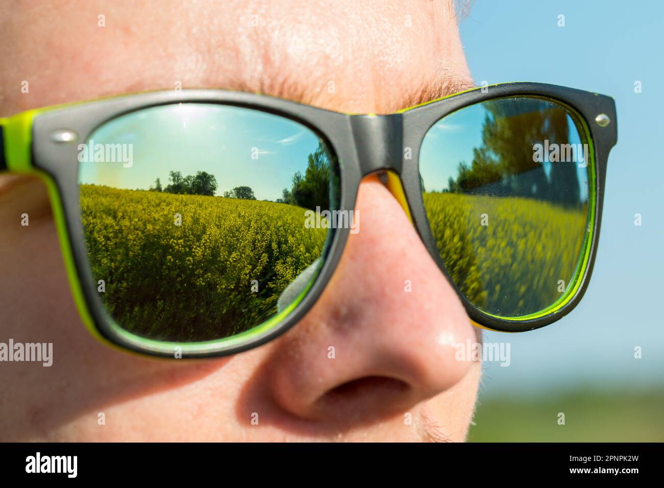 Sonnenbrille reflektiert blühendes Rapsfeld, Nahaufnahme. Stockfoto