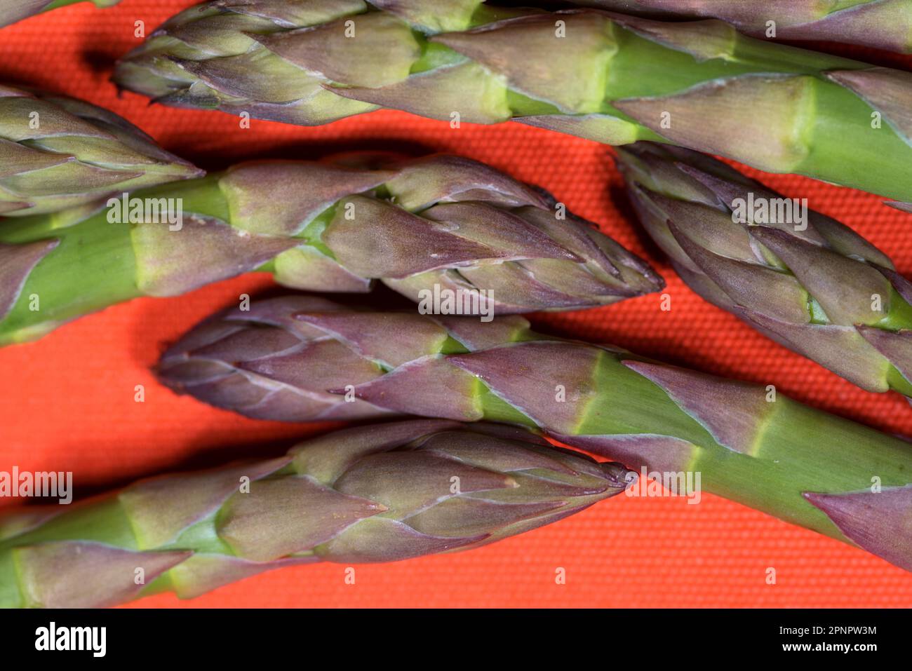 Muster Creato con Asparagi verdi su sfondo Arancione Stockfoto