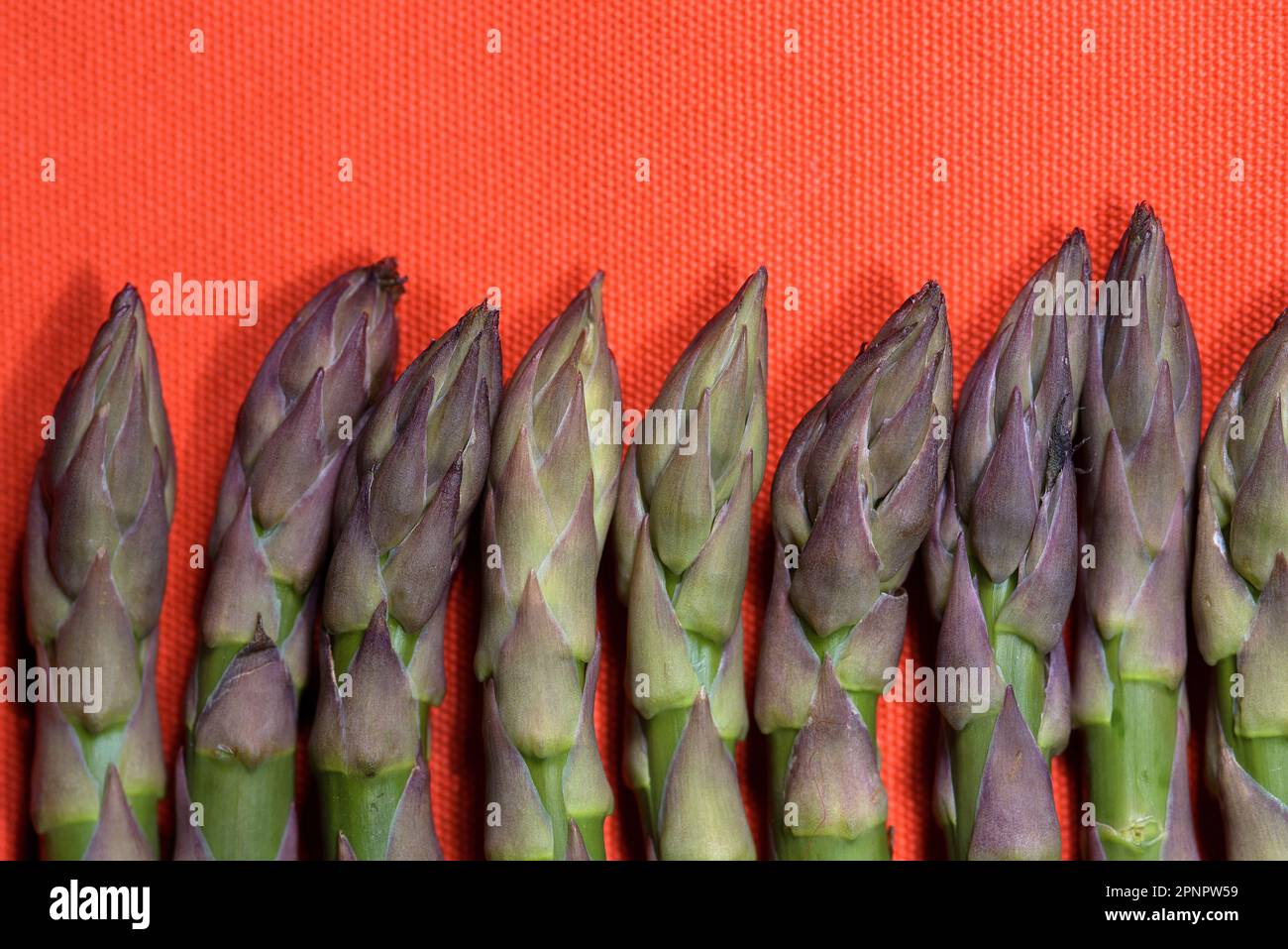 Muster Creato con Asparagi verdi su sfondo Arancione Stockfoto