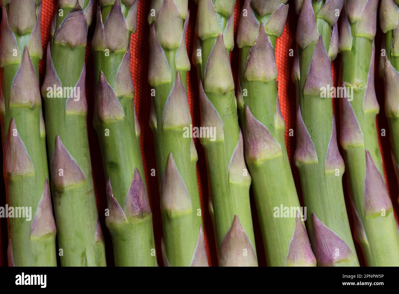 Muster Creato con Asparagi verdi su sfondo Arancione Stockfoto