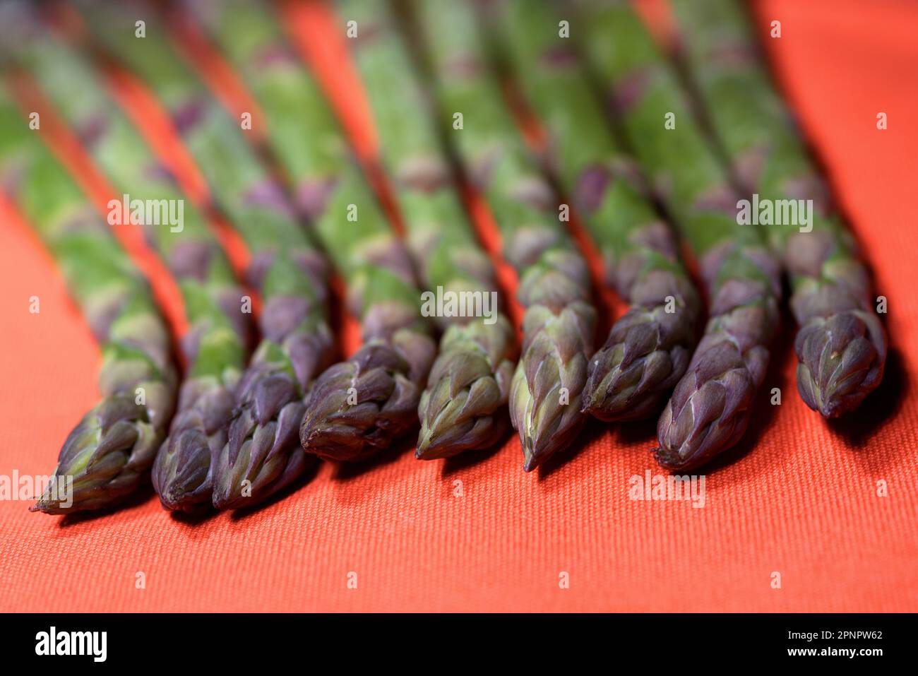Muster Creato con Asparagi verdi su sfondo Arancione Stockfoto