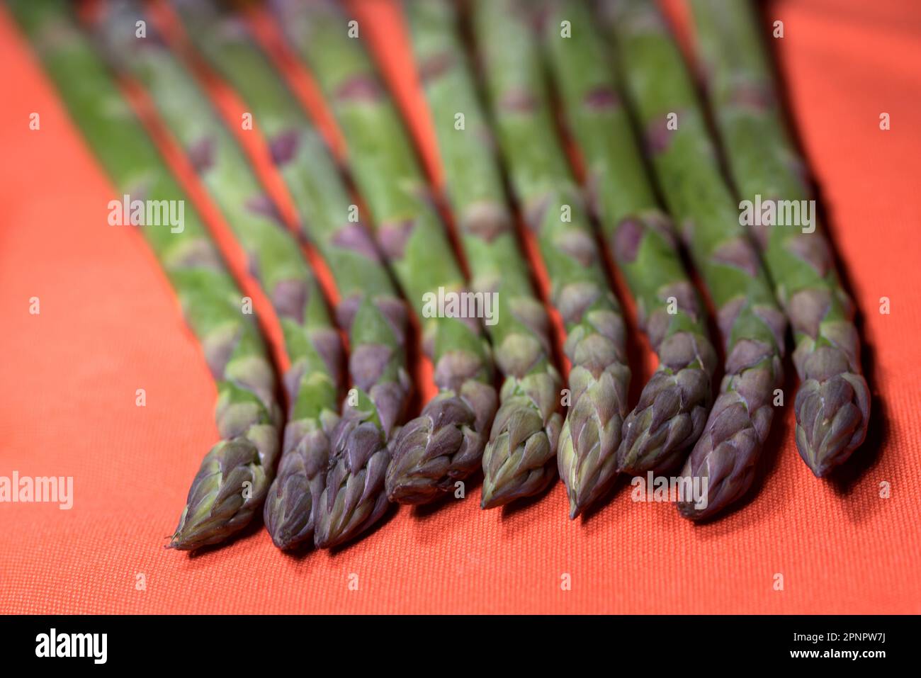 Muster Creato con Asparagi verdi su sfondo Arancione Stockfoto