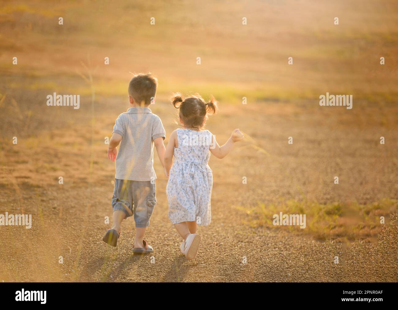 Rückansicht eines Mädchens und Jungen, die Hand in Hand durch eine Sommerwiese in Thailand gehen Stockfoto