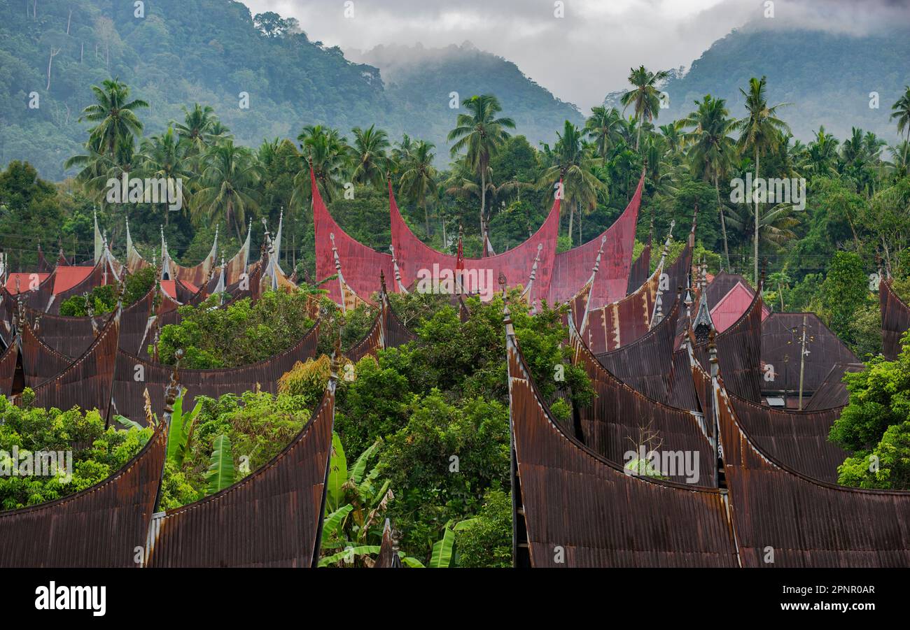 Blick aus der Vogelperspektive auf die Dächer und Baumwipfel von Minang, West Sumatra, Indonesien Stockfoto