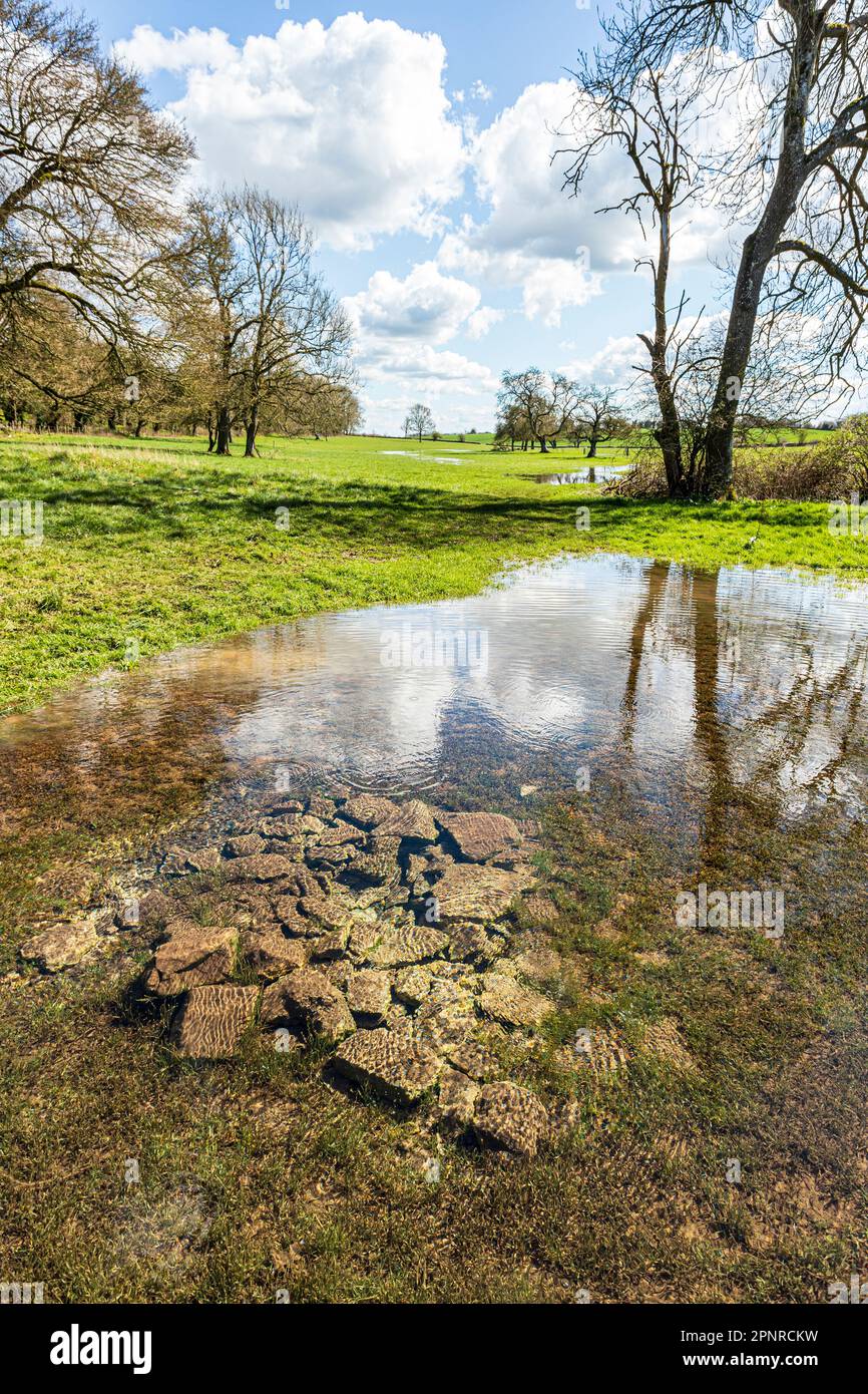 Wasser aus der Quelle sprudelt und bildet die Quelle der Themse bei Thames Head in den Cotswolds bei Kemble, Gloucestershire, England, Großbritannien Stockfoto