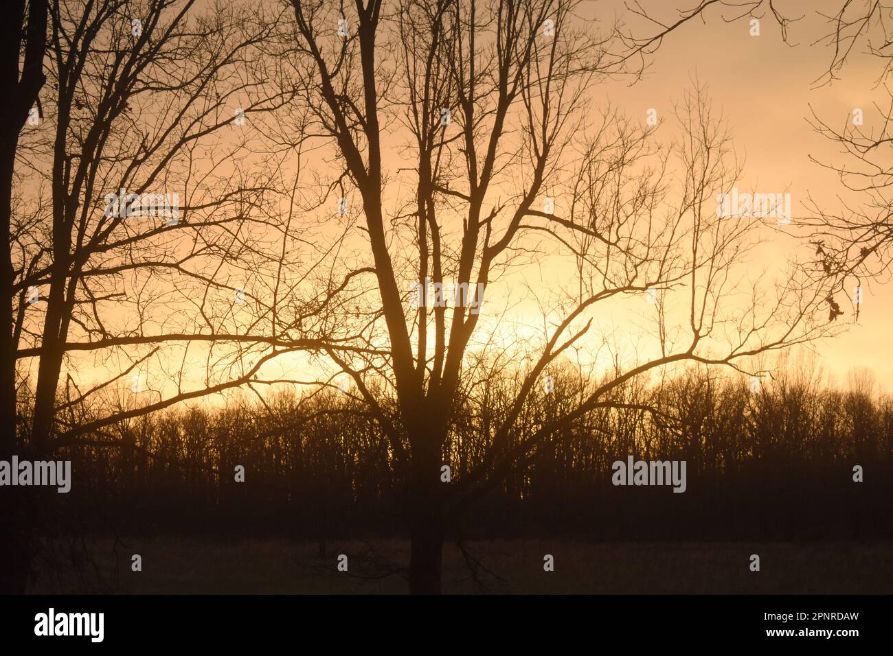 Die Sonne geht über einer Farm im ländlichen Missouri unter und sorgt für einen wunderschönen Abschluss des Tages. Stockfoto