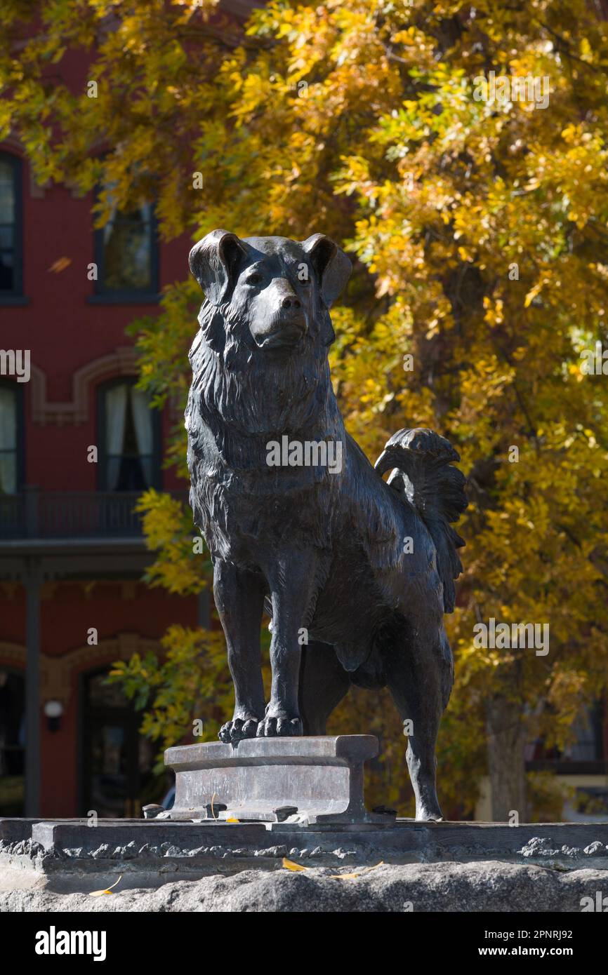 Bronze von Bob Scriver erinnert Shep an den Schäferhund, der 5 Jahre lang jeden Zug traf, nachdem sein Besitzer nach Osten zur Beerdigung gebracht wurde, Fort Benton, MT. Stockfoto