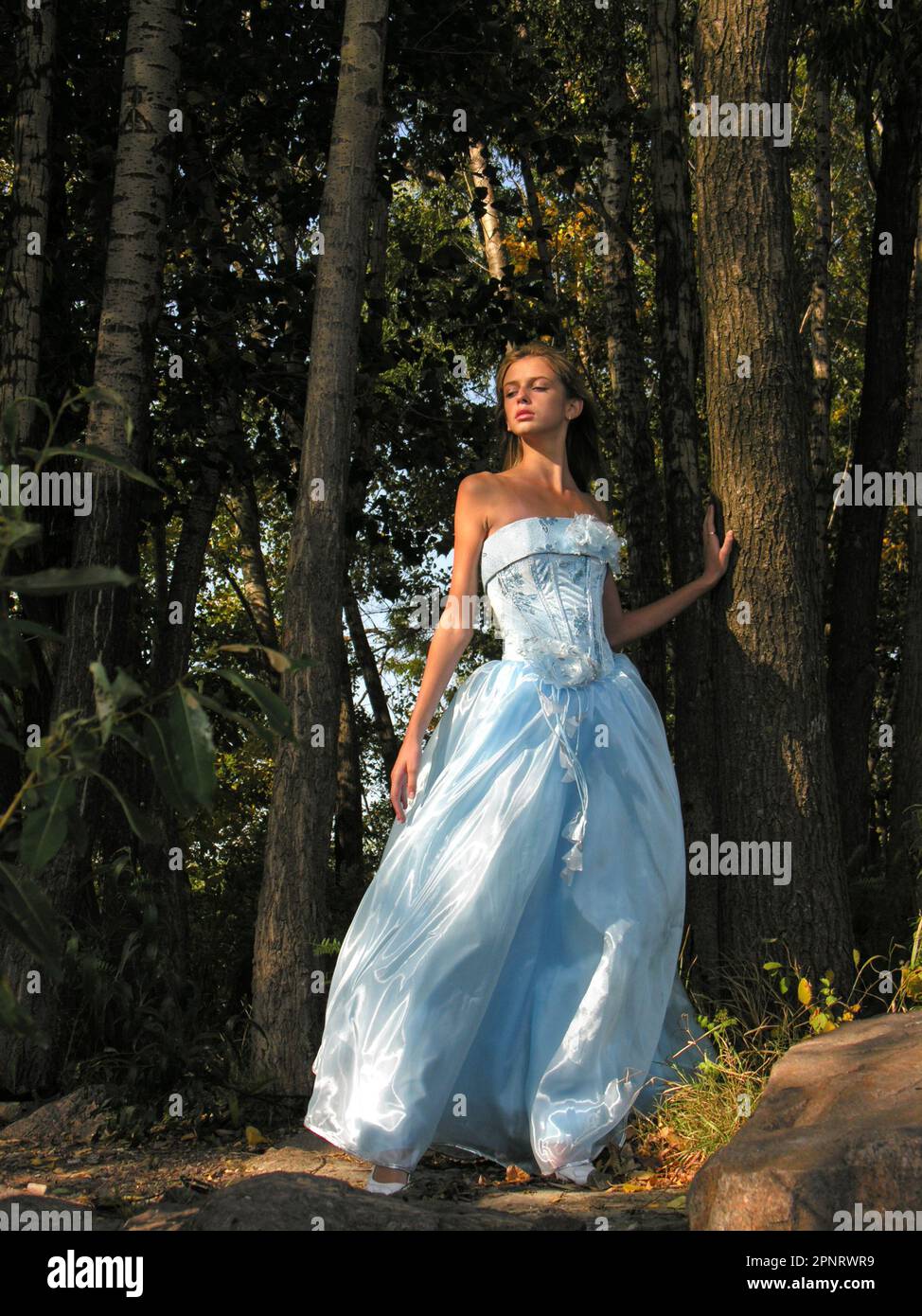 Ein Mädchen in blauem Kleid, das morgens im wilden Wald spaziert Stockfoto