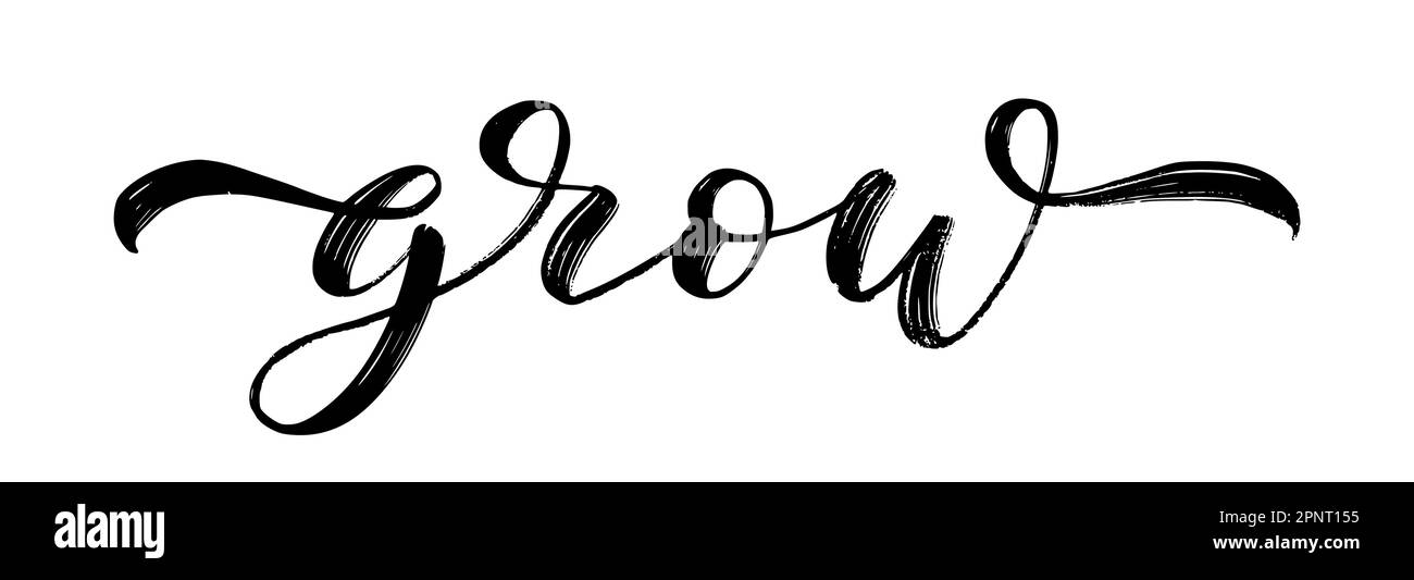 DIE WÖRTERKALLIGRAPHIE mit handgezogenen Pinseln. Schwarzer Text wird auf weißem Hintergrund angezeigt. Wuchsen Sie das kalligraphische Wort des Skripts. Vektordarstellung. Text-Design-Druck für Stock Vektor