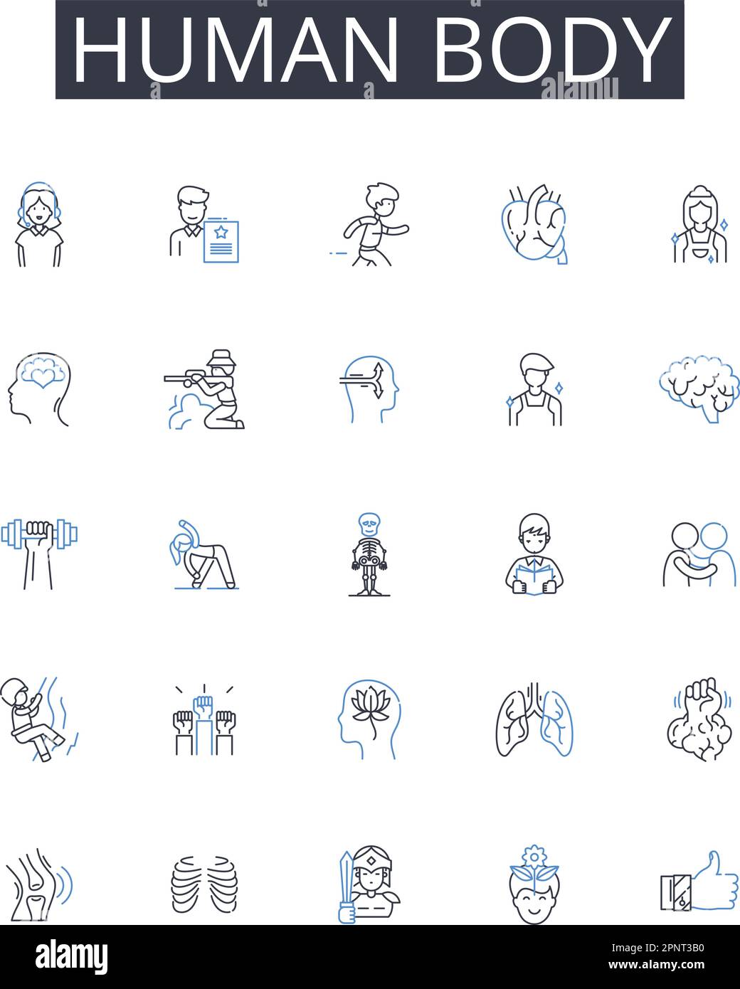 Kollektion mit Symbolen für menschliche Körperlinien. Psychische Gesundheit, Modestil, Wirtschaftswachstum, ökologische Nachhaltigkeit, politische Macht, Globale Wirtschaft, Soziales Stock Vektor