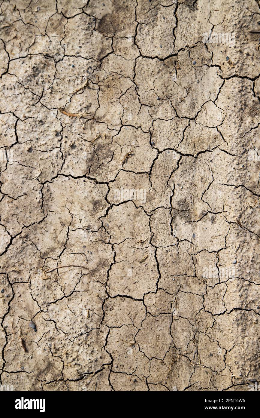 Trockene Erdstruktur Stockfoto