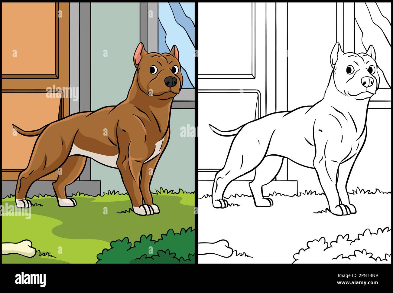 Pit-Bull-Farbseite – Farbige Abbildung Stock Vektor