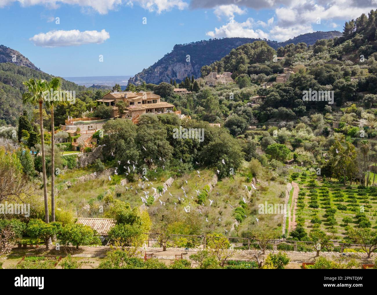 Wunderschöne Aussicht vom Garten des Klosters Valldemossa, wo Frederic Chopin und George Sand den Winter 1838 verbrachten - Mallorca Spanien Stockfoto