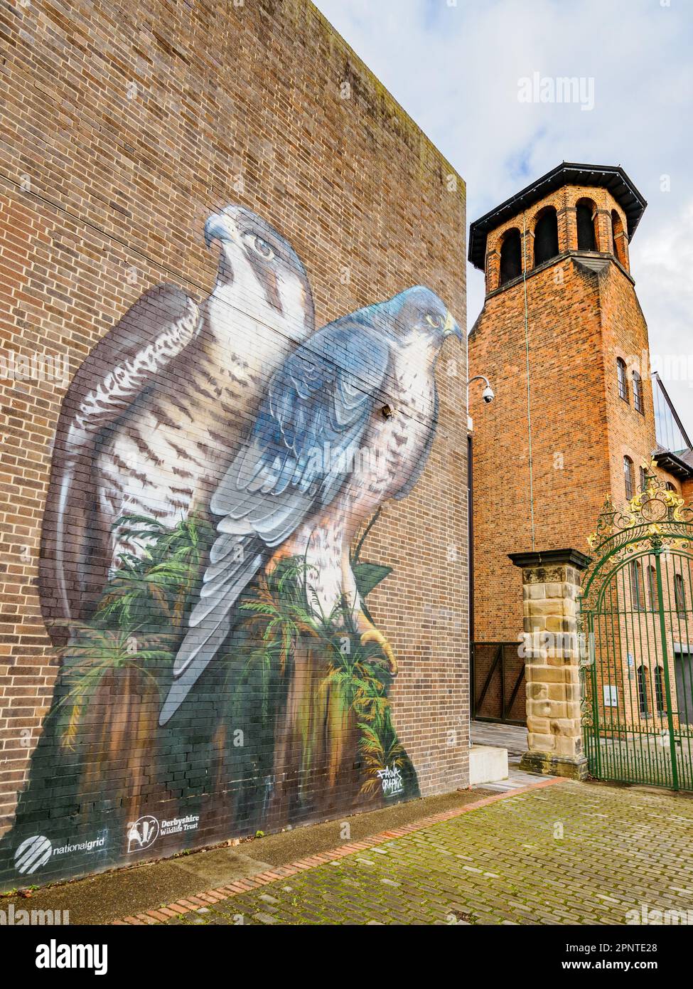 Das Museum of Making in Derby UK mit Wandgemälde von Peregrine Falcon Pair, um die Aufmerksamkeit auf die Vögel zu lenken, die auf dem nahe gelegenen Dom-Dach nisten Stockfoto