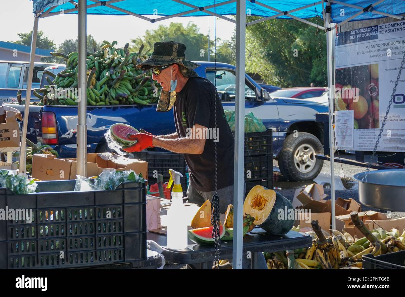 Ángel Alberto Torres Aponte verpackt Wassermelone auf der Plaza de Festivales Carlos Ruíz in Aguada, Puerto Rico am 20. Januar 2021. Um die lokale Wirtschaft zu stärken und die Abhängigkeit von Importen zu verringern, hat die Regierung eine Reihe von Familienmärkten organisiert und den Einwohnern Mittel zur Verfügung gestellt, um lokale Agrarprodukte zu kaufen. (Coraly Cruz Mejías/Global Press Journal) Stockfoto