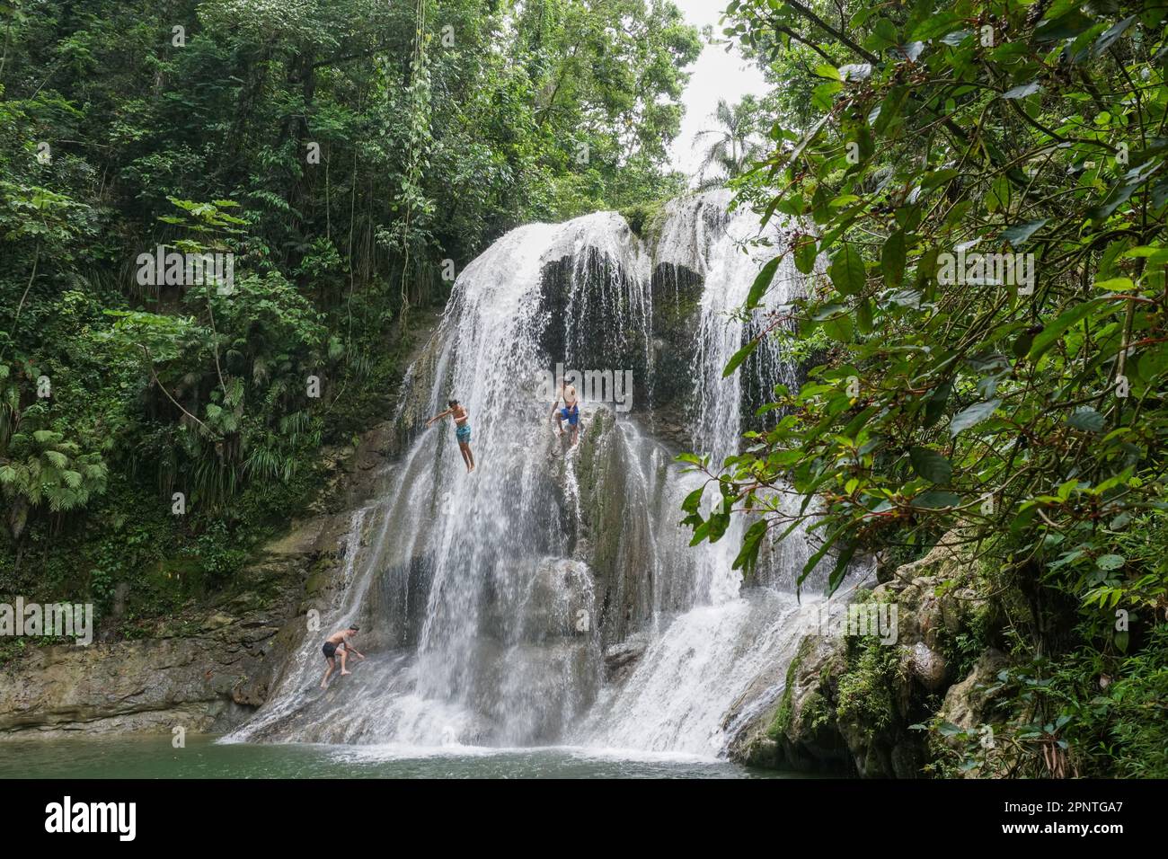 Dahzmany Báez, 16, springt am 21. August 2022 von einem Wasserfall auf dem Fluss Gozalandia, einer der geschäftigsten Touristenattraktionen in San Sebastián, Puerto Rico. (Coraly Cruz Mejías/Global Press Journal) Stockfoto