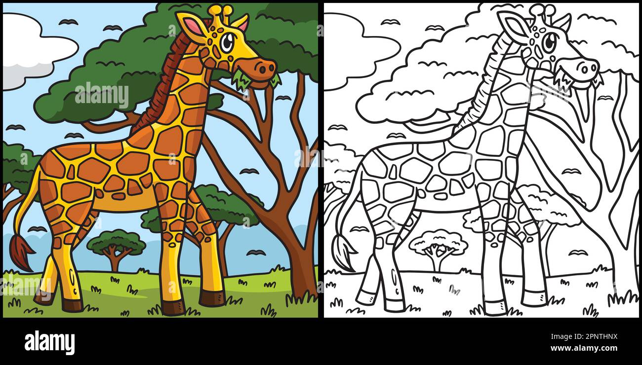 Giraffe Malvorlagen Farbige Illustration Stock Vektor
