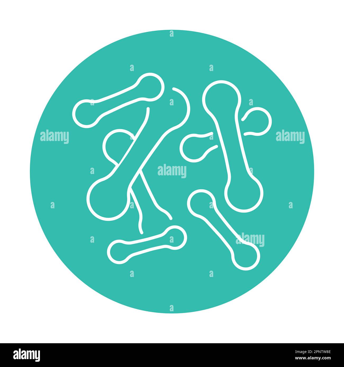 Bakterien corynebacterium diphtheriae Farbliniensymbol. Menschliche Krankheiten. Piktogramm für Webseite, mobile App, Promo. Stock Vektor