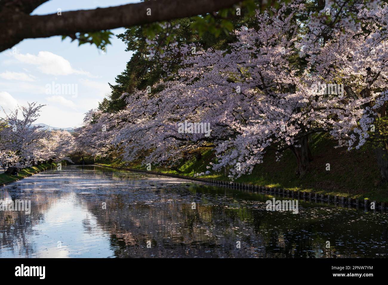 Landschaft im Hirosaki Park Stockfoto