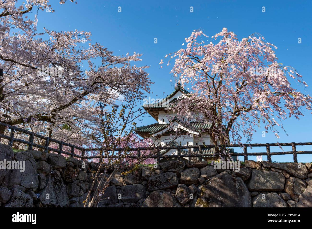 Die wunderschöne Landschaft von Hiroksaki Castle im Frühling Stockfoto