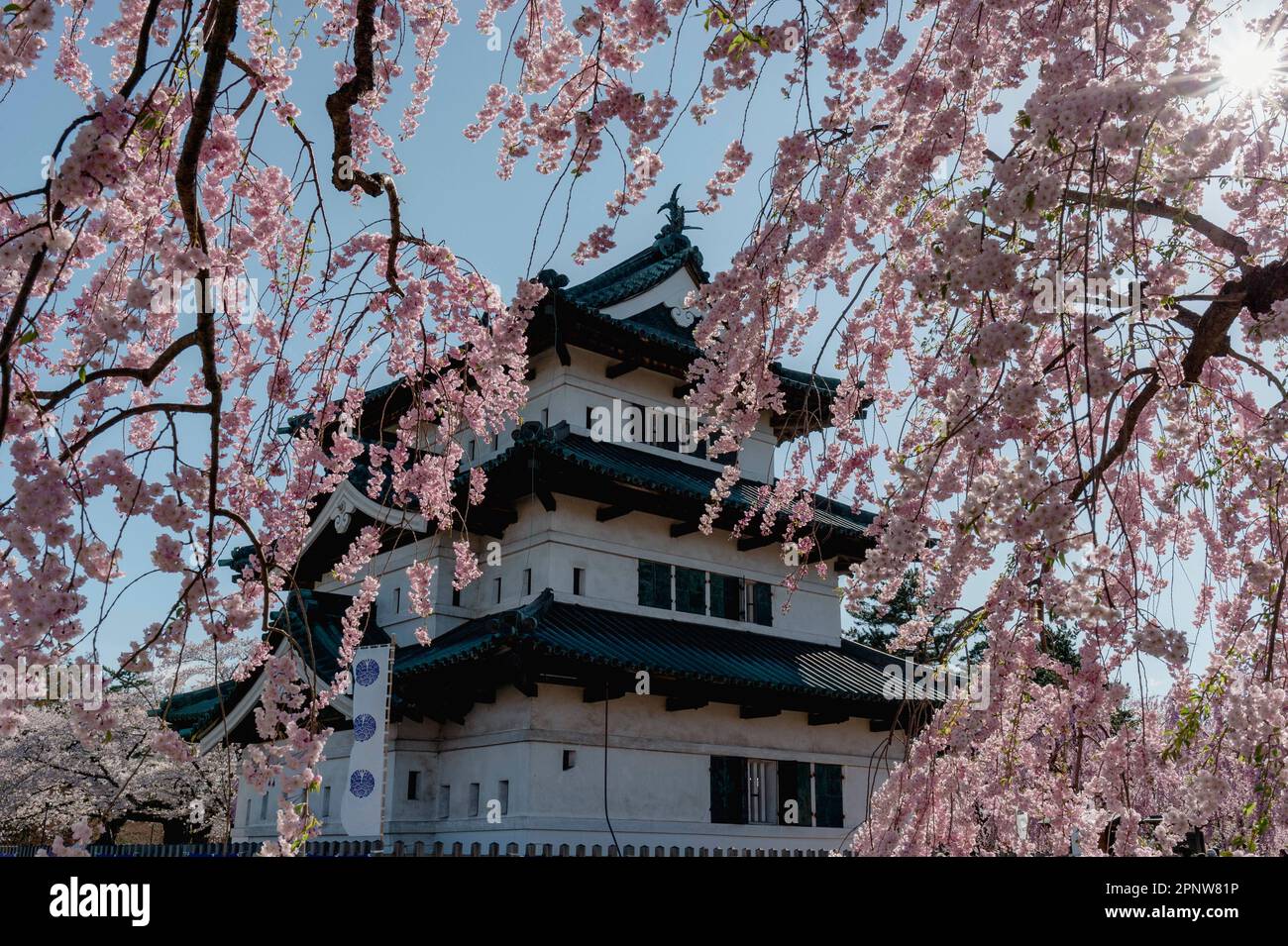 Die wunderschöne Landschaft von Hiroksaki Castle im Frühling Stockfoto