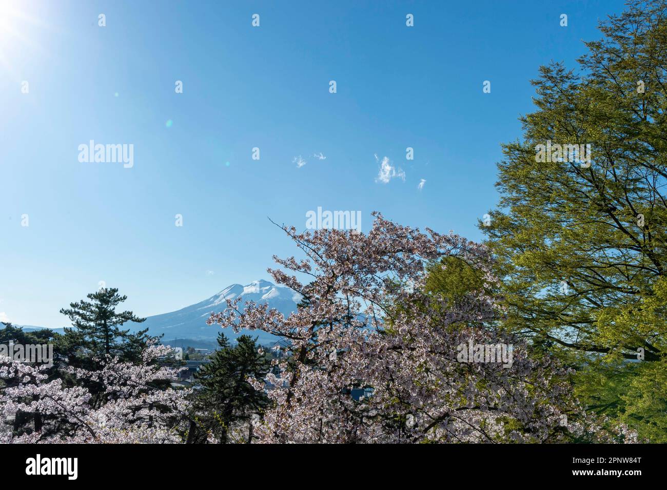 Landschaft im Hirosaki Park Stockfoto