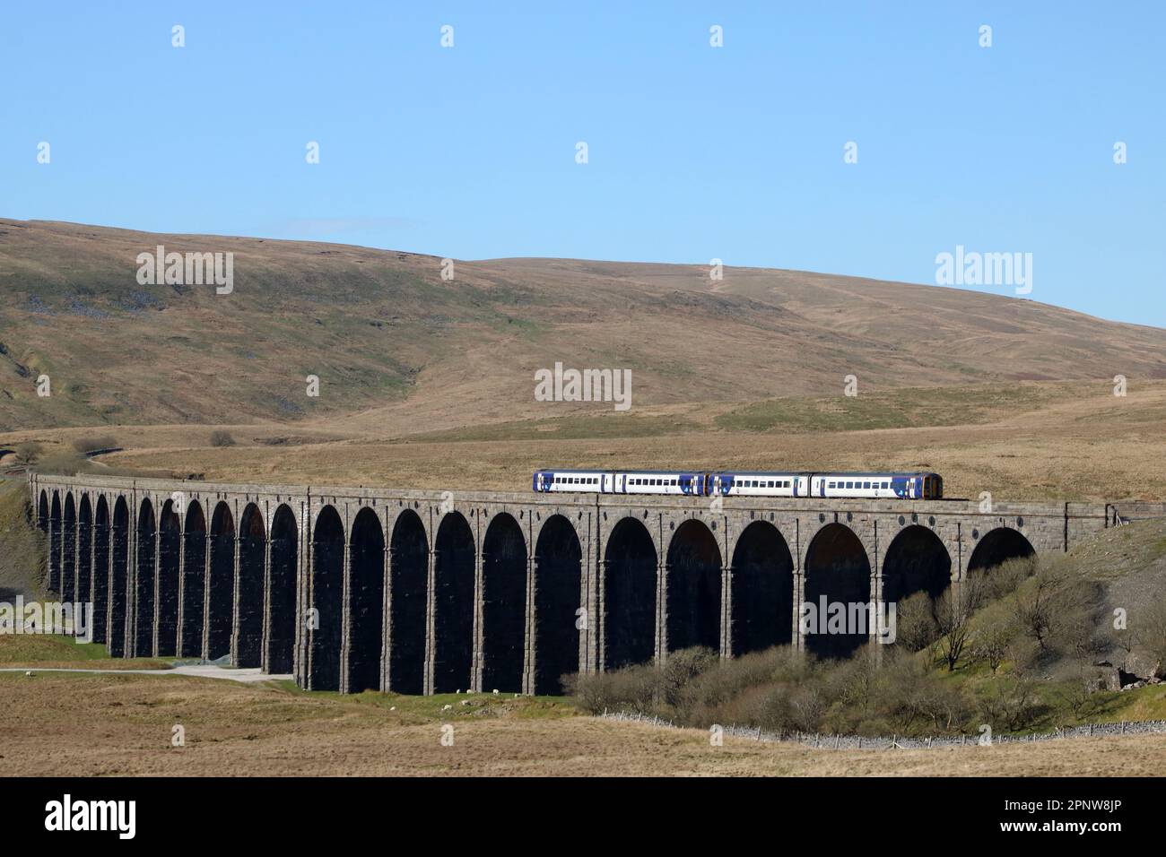 Die Nordzüge der Klasse 158 Express-Sprintflugzeuge dmu überqueren Ribblehead Viaduct auf der Settle-to-Carlisle-Linie in North Yorkshire, 20. April 2023. Stockfoto