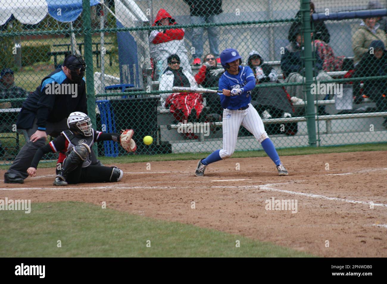 SLU Softball gegen Bradley (Braves) und Northern Illinois (Huskies) Stockfoto