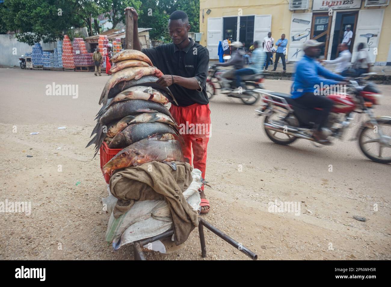 ISAC Kadima, der seit 2009 Meeresfrüchte verkauft, arrangiert am 15. August 2022 Fisch auf seinem Wagen in Kisangani, Demokratische Republik Kongo. (Francoise Mbuyi Mutombo/Global Press Journal) Stockfoto