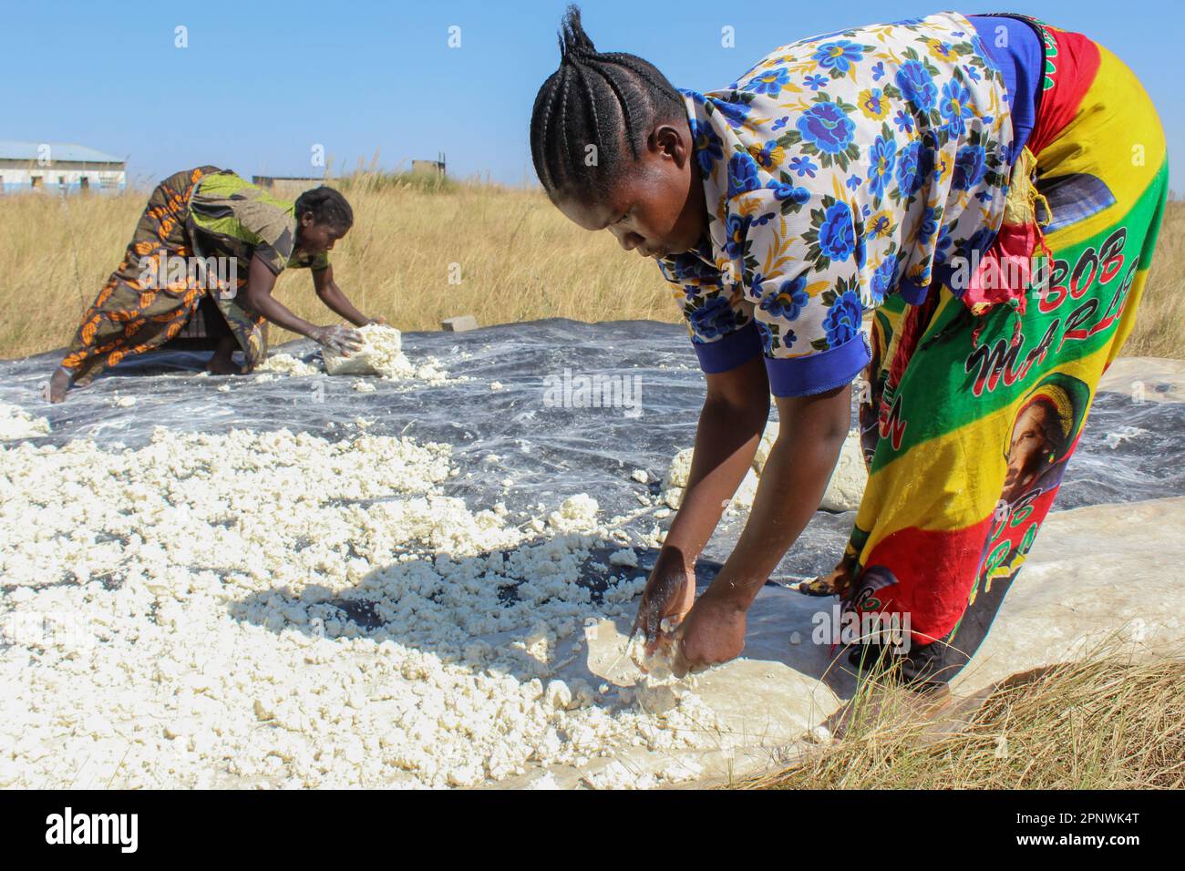Juliana Mulenga und Leya Mulenga bereiten am 26. Juni 2022 Kassava zu, um Porridge in Chongwe, Lusaka, Sambia, zu kochen. Nach den geringen Niederschlägen im letzten Jahr entschied sich Juliana Mulenga für den Anbau von Kassava, einer Pflanze, die weniger Wasser benötigt, anstatt Mais. (Prudence Phiri/Global Press Journal) Stockfoto