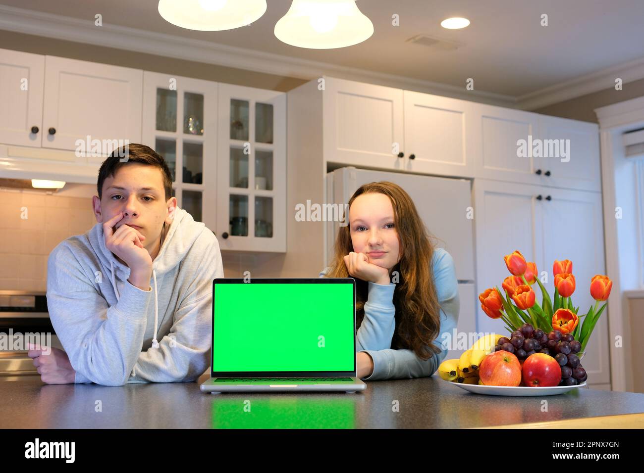 In der Küche zwei Teenager mit Computer Laptop grüner Bildschirm Chromakey Werbeplatz für Textangebote Verkauf Lieferung Blumen alles was man braucht Stockfoto