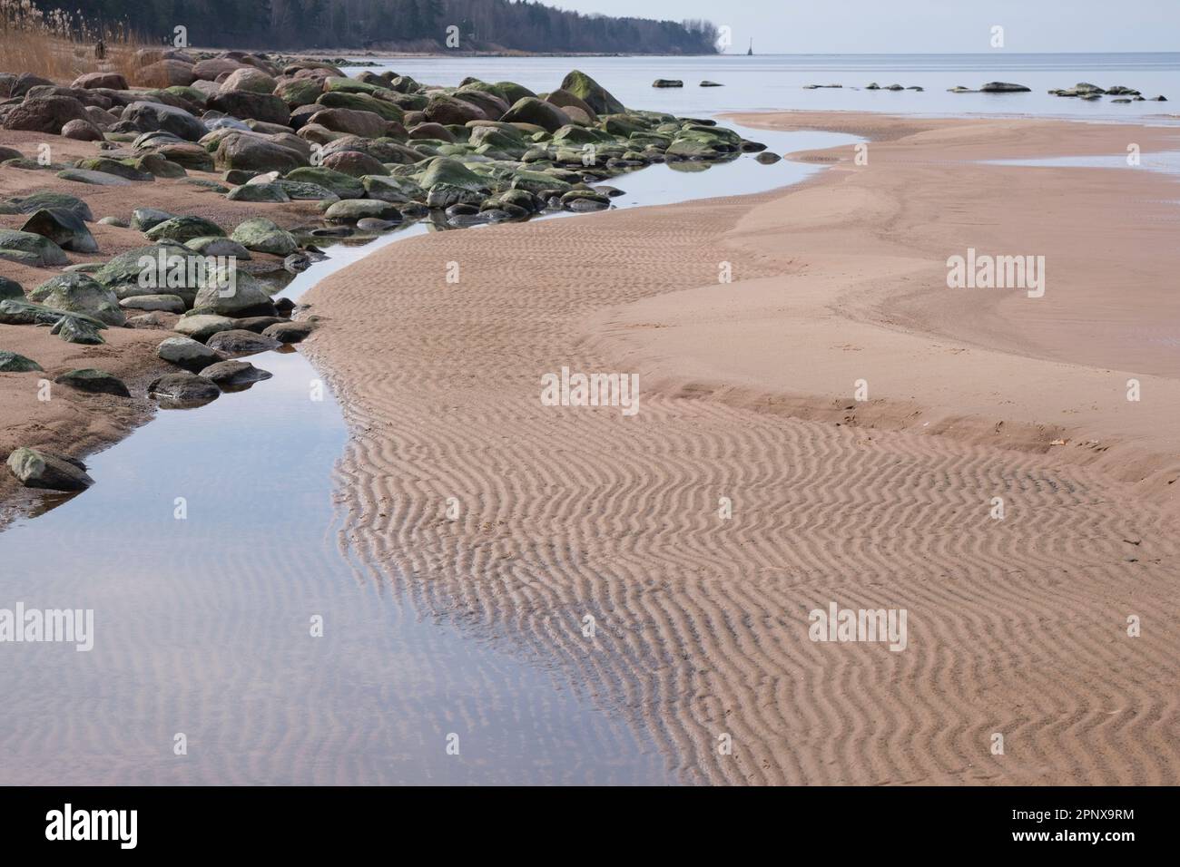 Grüne Moossteine am leeren Strand, Wellenschmuck im Sand Stockfoto