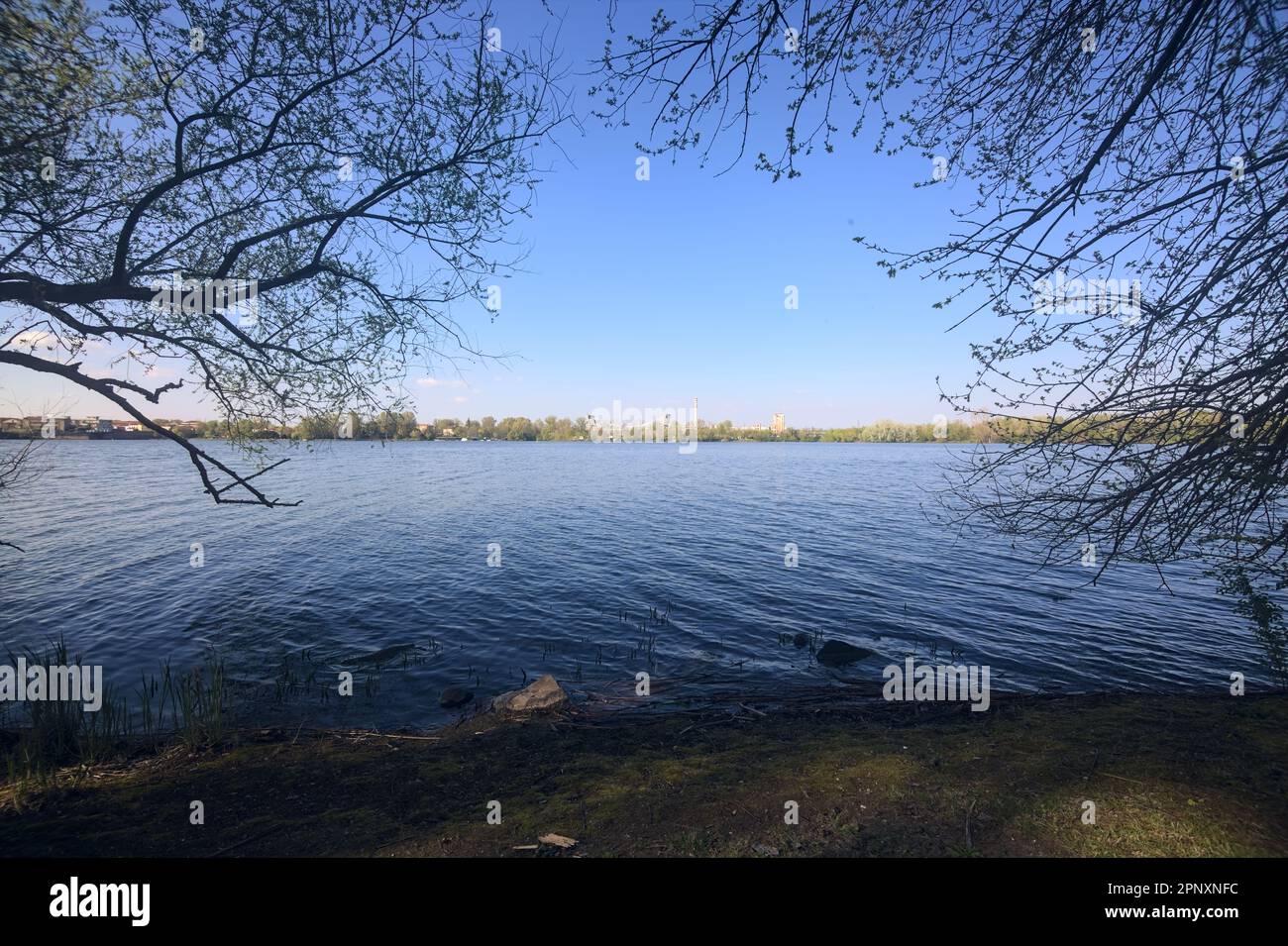 Bäume am Seeufer bei Sonnenuntergang, die einen Industriekomplex an der gegenüberliegenden Küste in der Ferne umrahmen Stockfoto