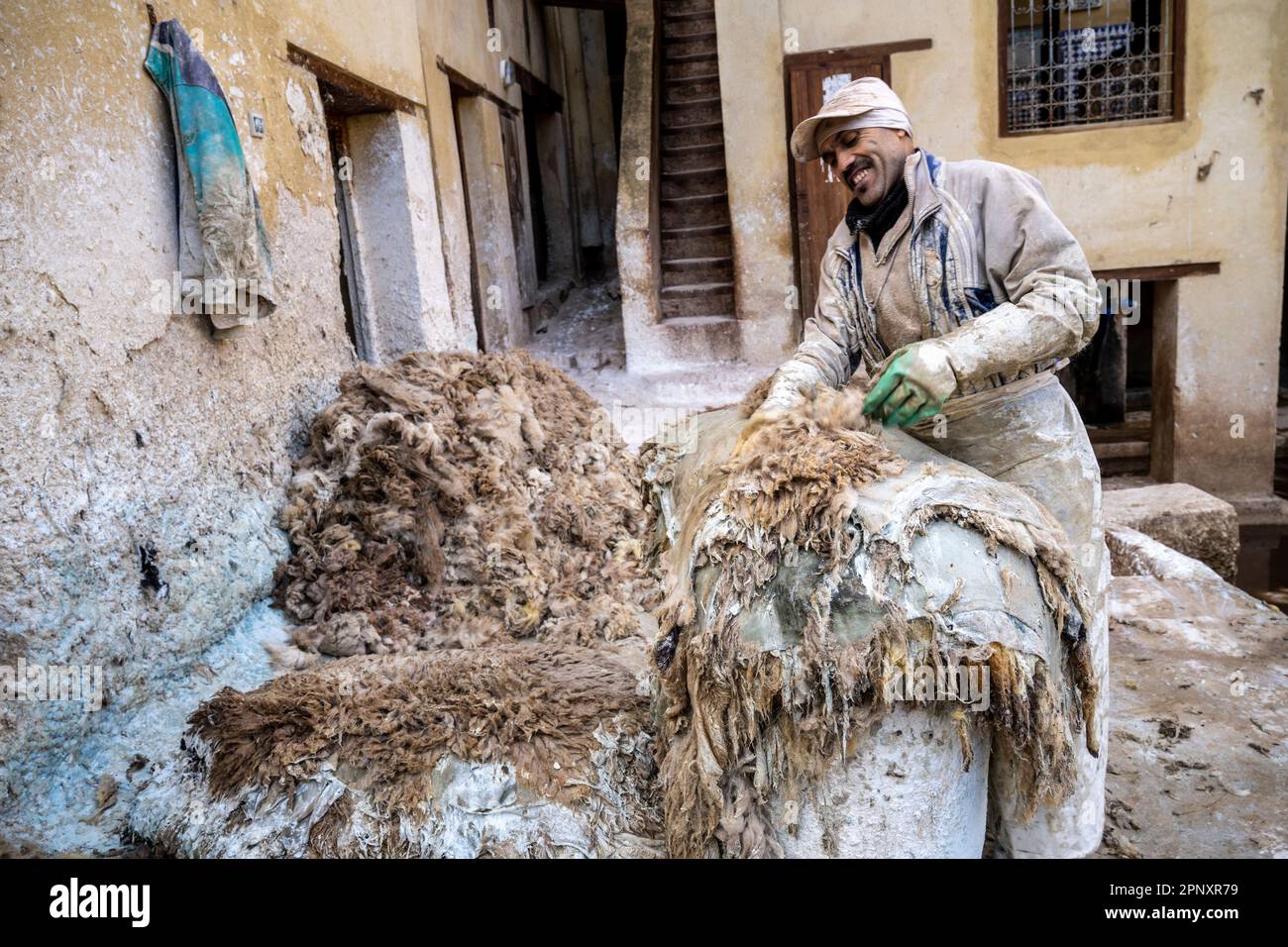 Arbeiter in den Gerbereien von Fez, der die Wolle von der Haut entfernt, um mit dem Bräunen fortzufahren. Stockfoto