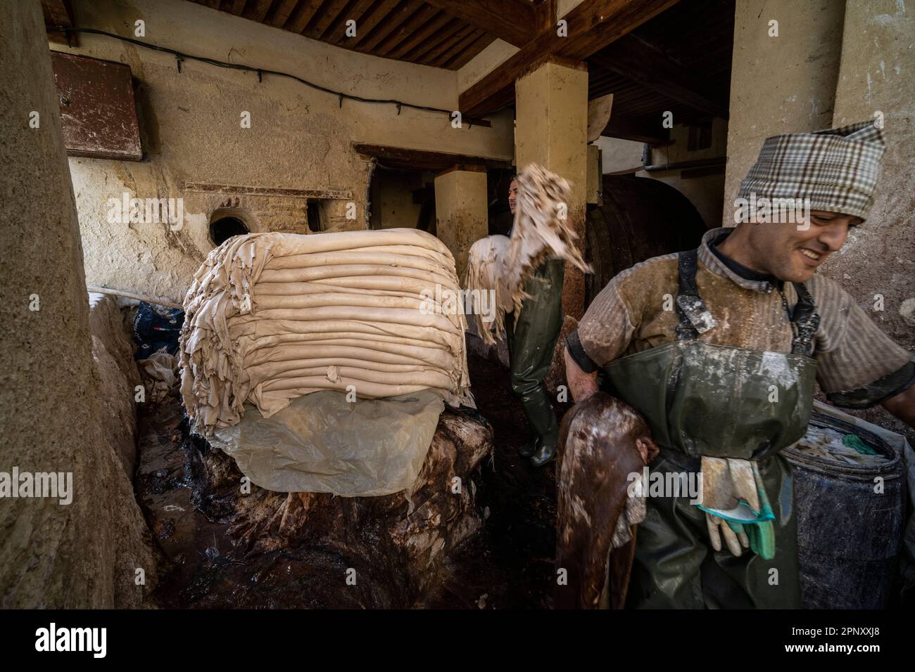Ein Arbeiter in den Gerbereien von Fez, der die Häute während des Bräunungsvorgangs bearbeitet. Stockfoto