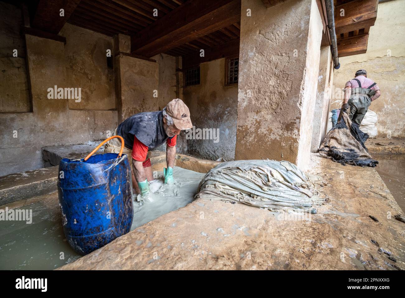 Arbeiter in den Gerbereien von Fès, der in einem Becken Haut zum Bräunen handhabt. Stockfoto