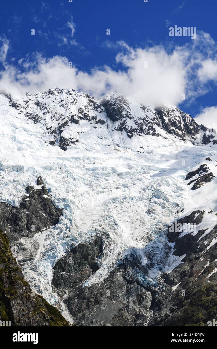 Wanderung im Mount Aoraki/Cook National Park in Neuseeland auf der Südinsel im Sommer. Berge und Gletscher Stockfoto